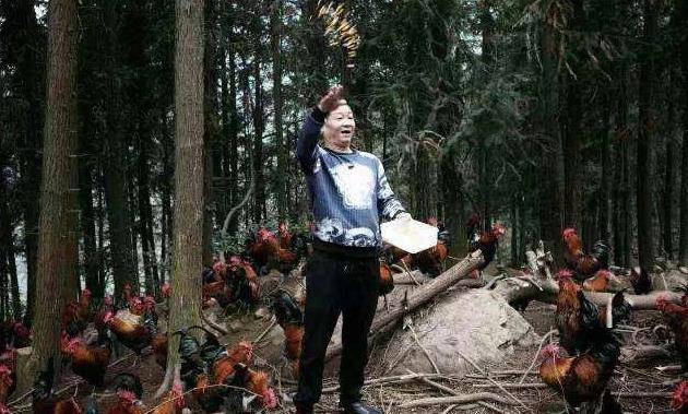香港演员廖伟雄豪宅曝光，退出娱乐圈后一心当农民，如今身价过亿-第1张图片-欧陆平台